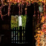 Casa Da Roseira Bed & Breakfast