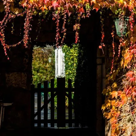 Casa Da Roseira Bed & Breakfast