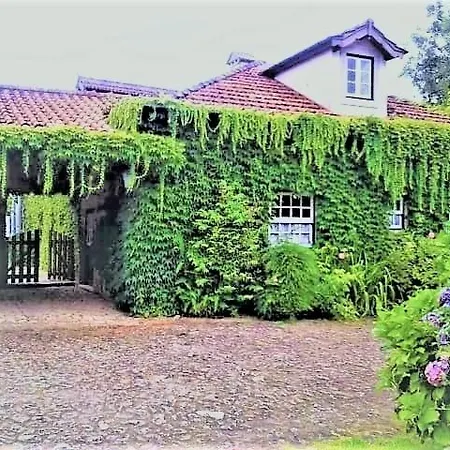 Bed & Breakfast Casa Da Roseira Ponte de Lima