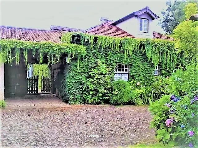 Nocleg ze śniadaniem Casa Da Roseira Ponte de Lima