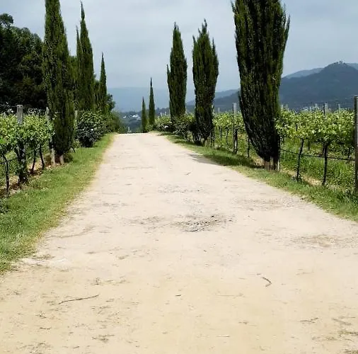 Nocleg ze śniadaniem Casa Da Roseira